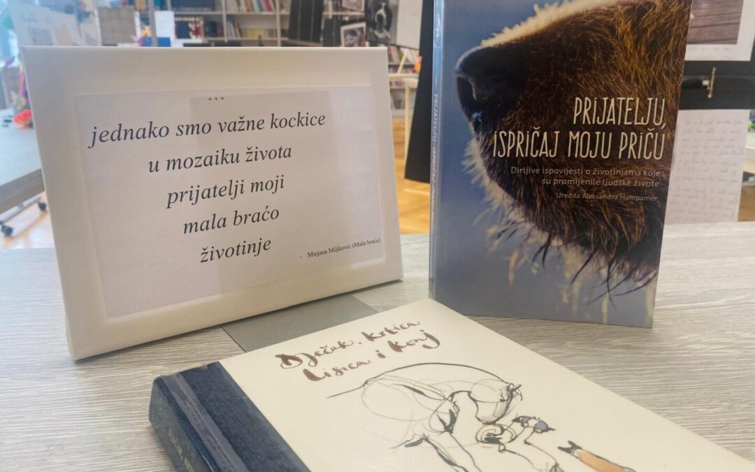 Noć knjige u knjižnici