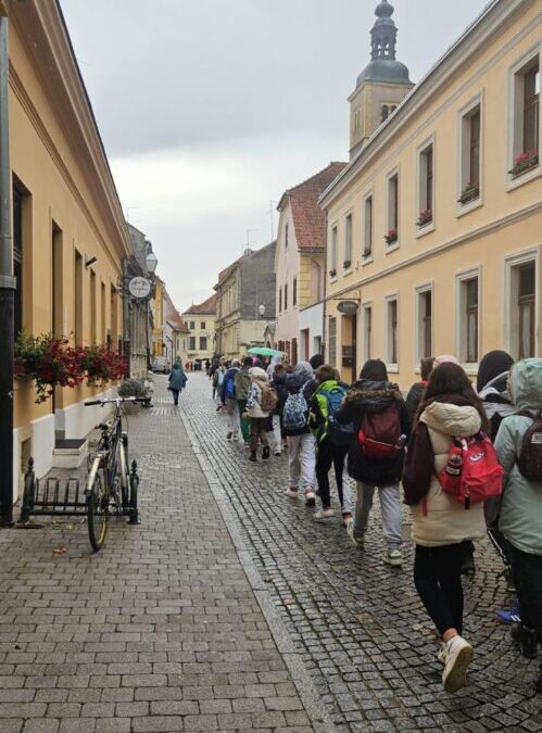 Izlet u Varaždin i Trakošćan
