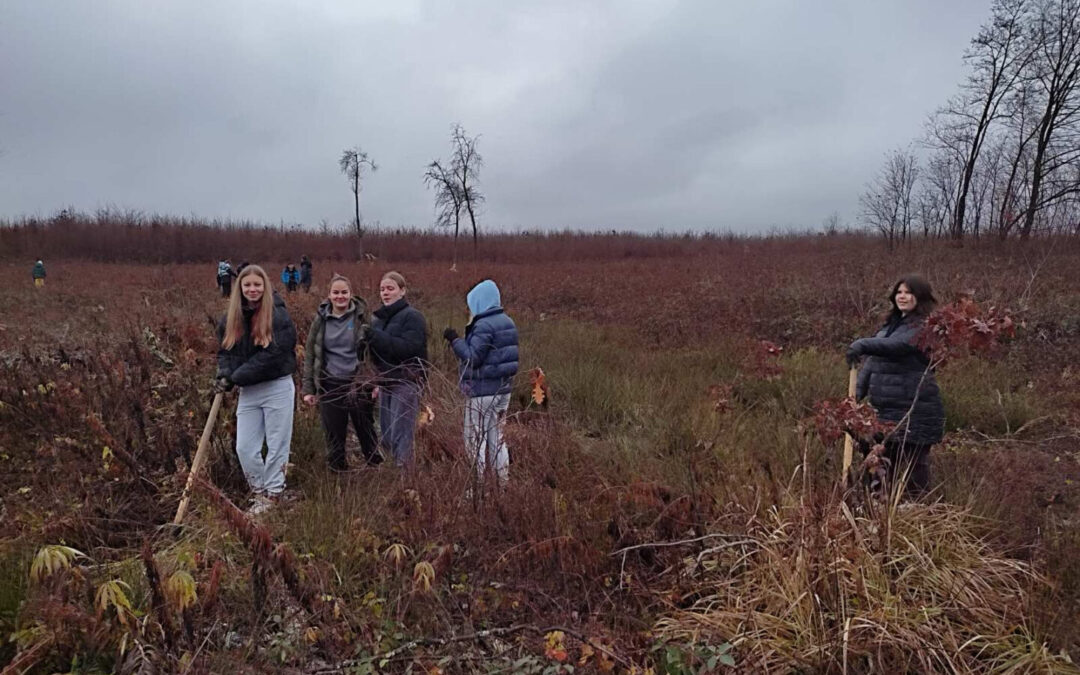 Mladi Šumoborci u akciji pošumljavanja