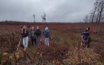 Mladi Šumoborci u akciji pošumljavanja